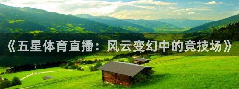 nba雨燕360直播：《五星体育直播：风云变幻中的竞技场》