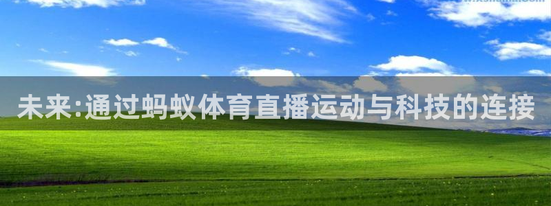 雨燕360直播nba比赛回放：未来:通过蚂蚁体育直播运动与科技的连接