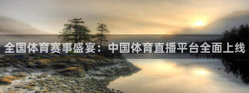 雨燕360直播nba高清：全国体育赛事盛宴：中国体育直播平台全面上线