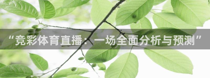 雨燕360直播体育下载：“竞彩体育直播：一场全面分析与预测”