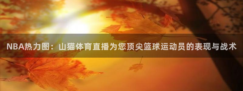 雨燕360直播入口：NBA热力图：山猫体育直播为您顶尖篮球运动员的表现与战术