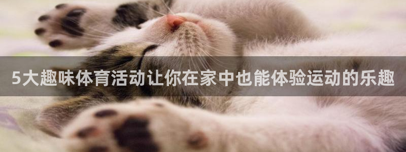 雨燕360直播nba比赛：5大趣味体育活动让你在家中也能体验运动的乐趣