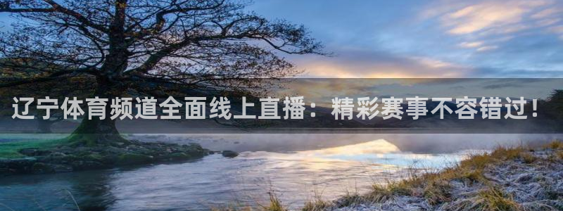 雨燕360直播足球：辽宁体育频道全面线上直播：精彩赛事不容错过！