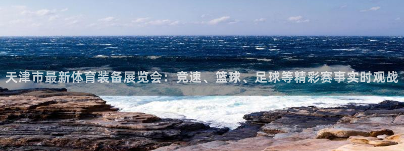 雨燕360直播入口：天津市最新体育装备展览会：竞速、篮球、足球等精彩赛事实时观战