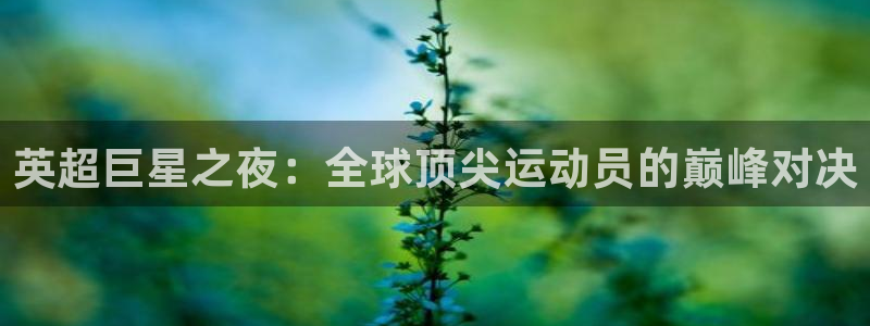 雨燕360直播体育下载：英超巨星之夜：全球顶尖运动员的巅峰对决