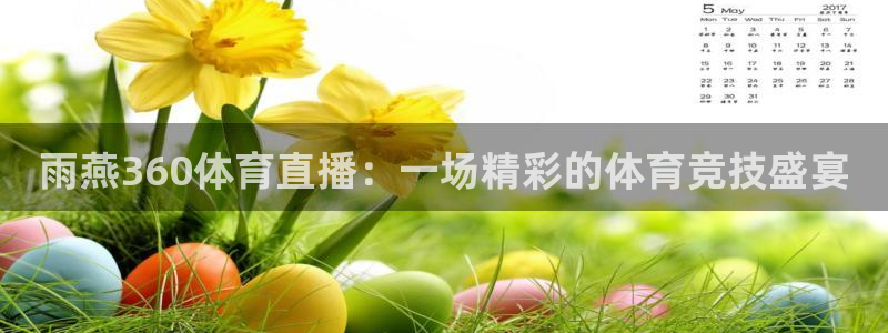 雨燕360直播nba比赛回放：雨燕360体育直播：一场精彩的体育竞技盛宴