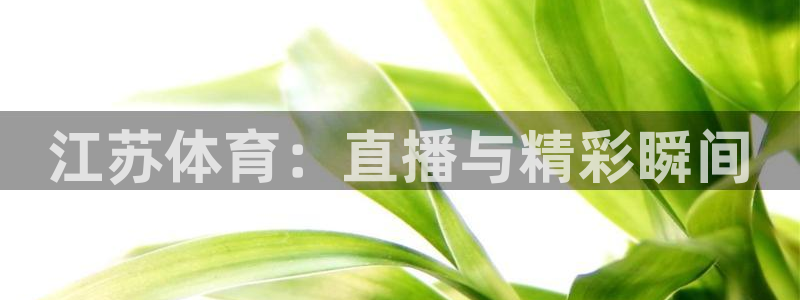 nba雨燕360直播：江苏体育：直播与精彩瞬间