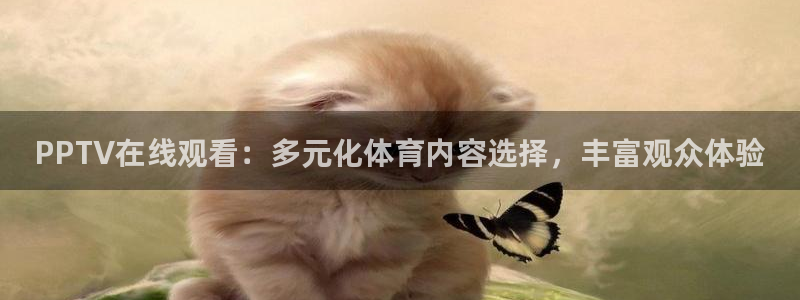 雨燕360直播免费观看：PPTV在线观看：多元化体育内容选择，丰富观众体验