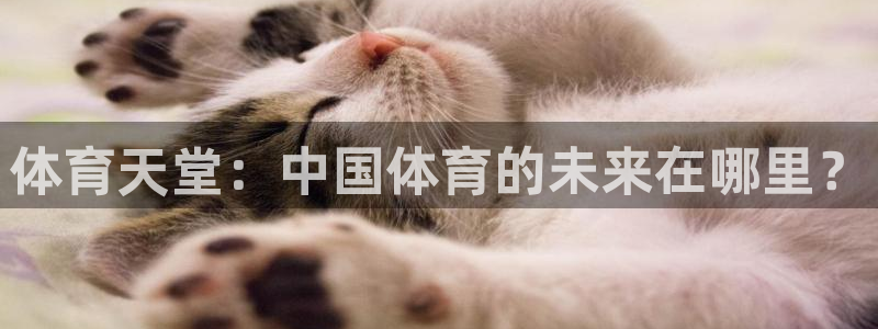 雨燕360直播nba在线观看：体育天堂：中国体育的未来在哪里？