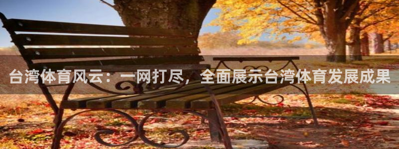 雨燕360直播足球免费直播：台湾体育风云：一网打尽，全面展示台湾体育发展成果