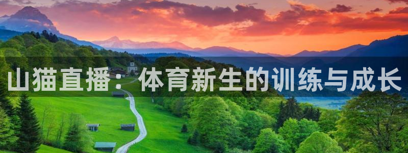 雨燕360直播体育下载：山猫直播：体育新生的训练与成长
