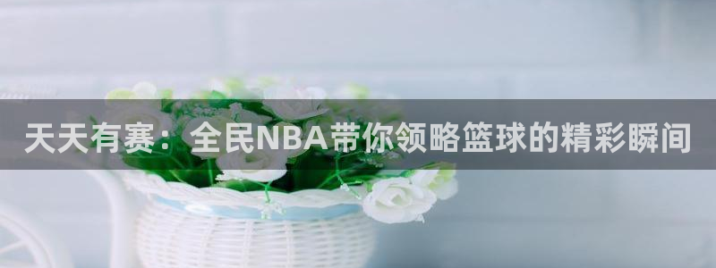 雨燕360直播足球直播在线直播：天天有赛：全民NBA带你领略篮球的精彩瞬间